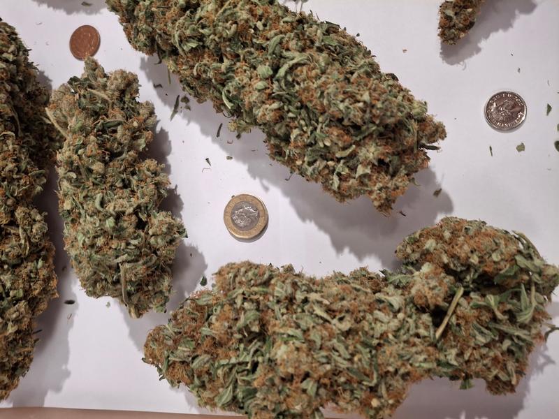 Delicious Strong Super Lemon Haze