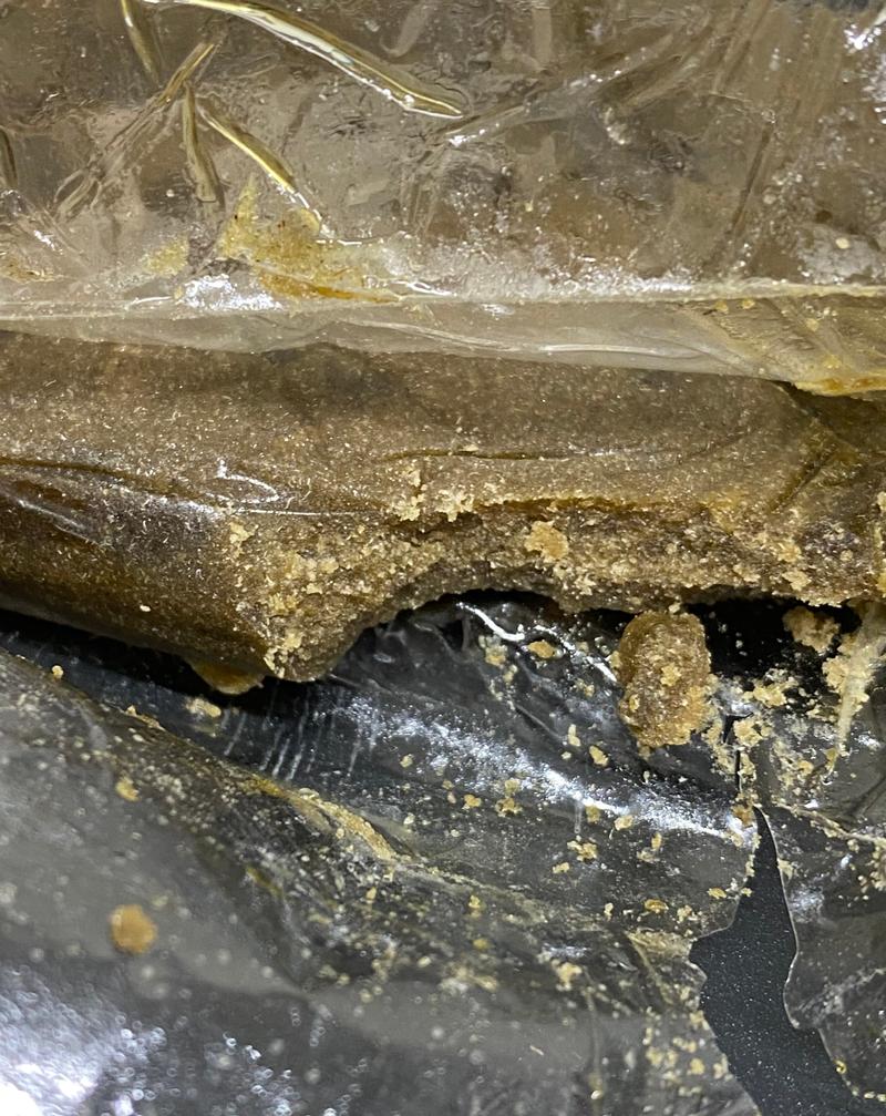 Banana Pie Whole Plant Fresh 🍌