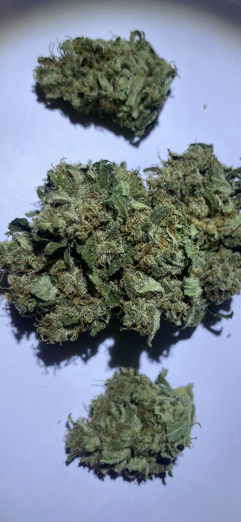Grade A, Top Shelf, Super Lemon Haze