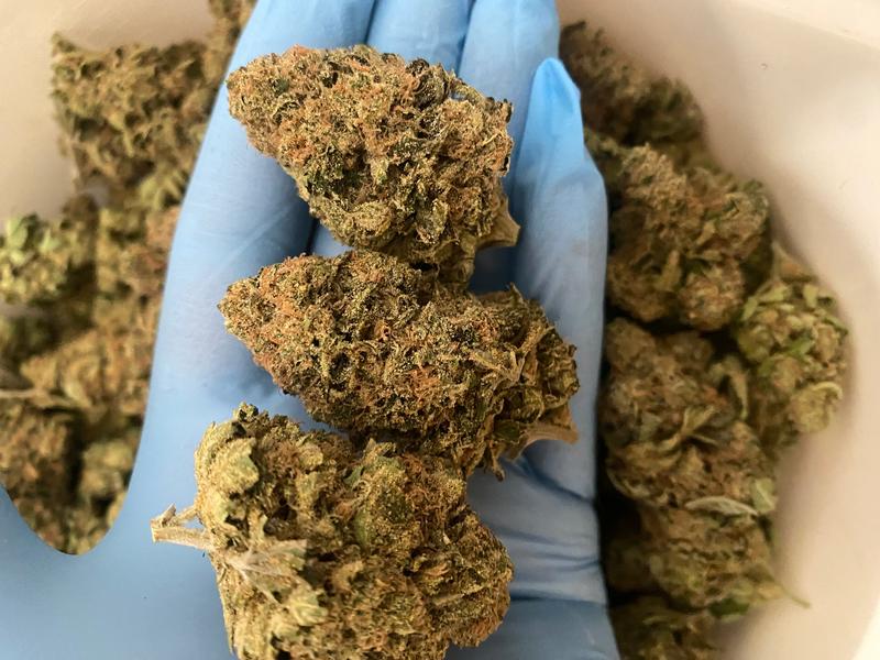 SkyWalker Og- Small to Bluk !