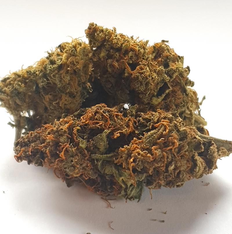 Crane Bag of Gorilla's