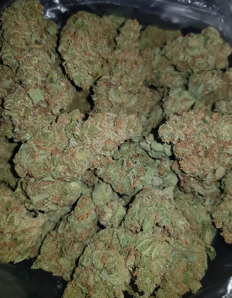 **AMNESIA LEMON**