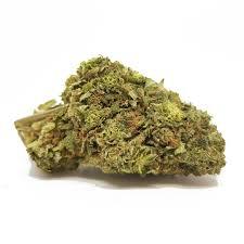 Premium Space monkey(FREE SIGNED FOR)