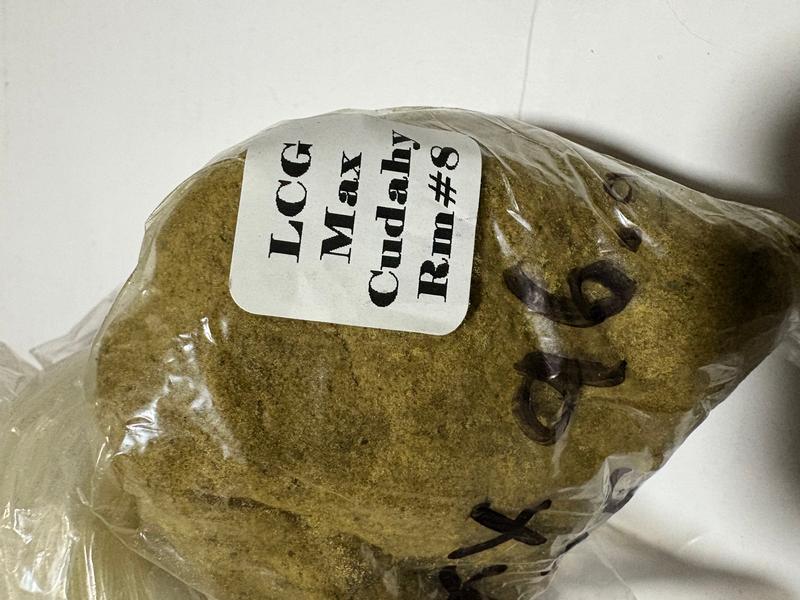 Jungle Boys Bubble Hash IS Back