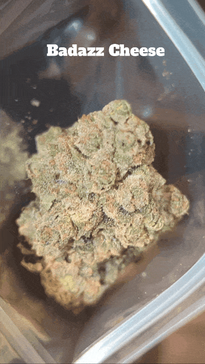 UK TOP SHELF SMALL BATCH🇬🇧 PGR FREE/ORGANIC