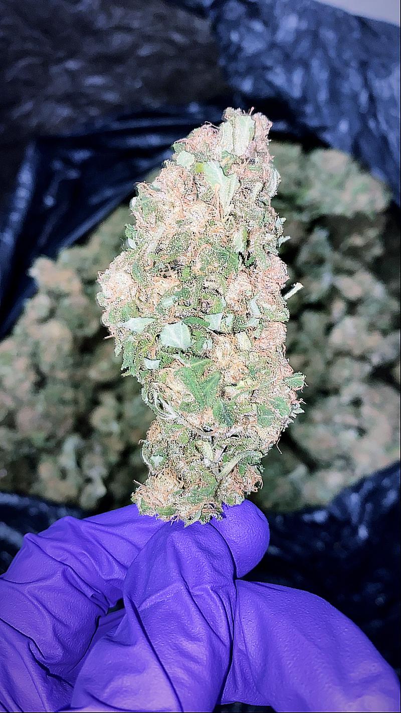 Cherry Pie (Top Spanish Outdoor)