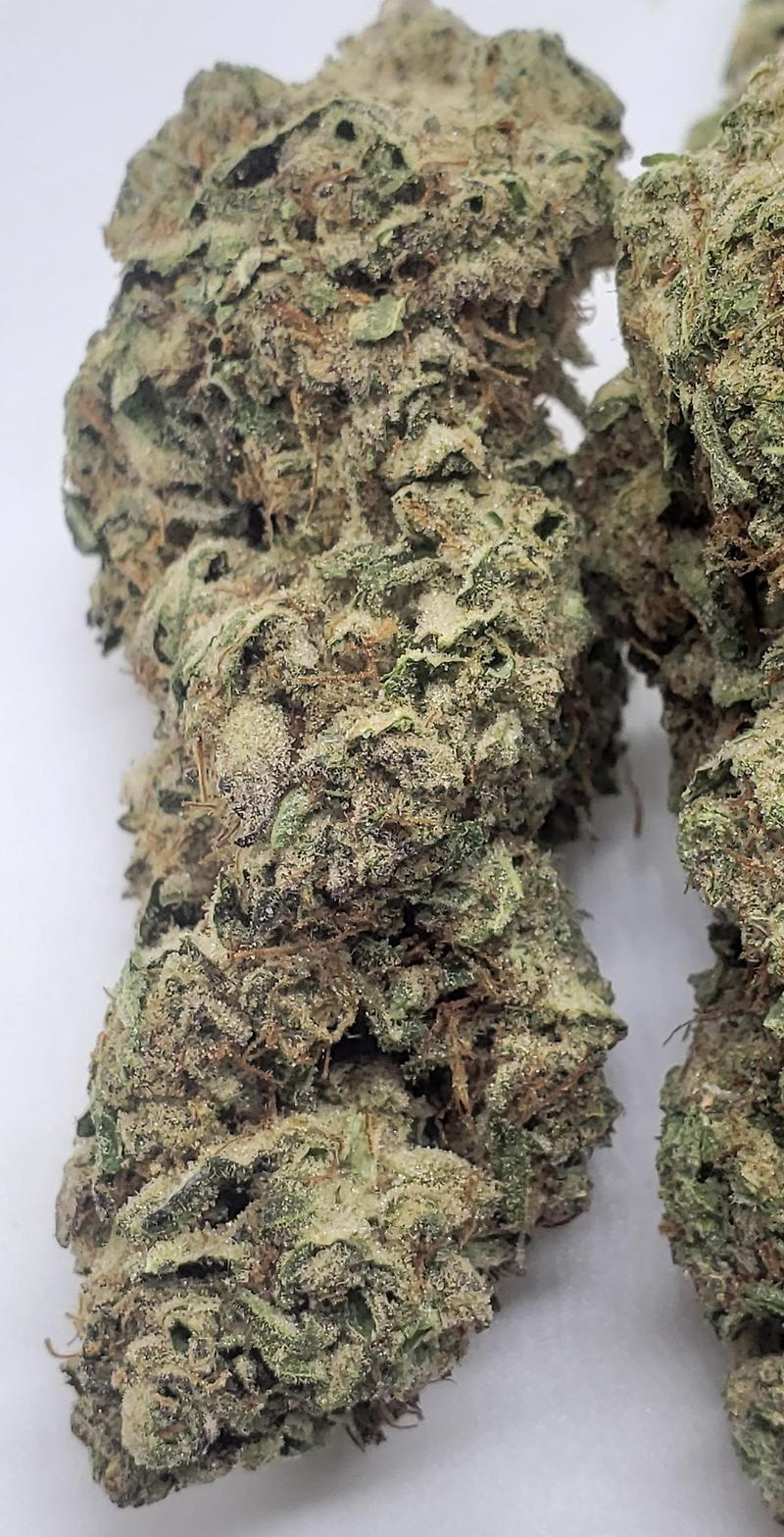 STRAWBERRY CAKE (INDICA DOM)