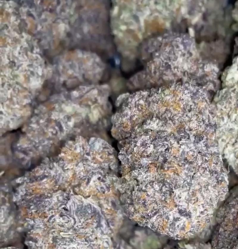 ZOAP X GELATO #41 - USA IMPORT!