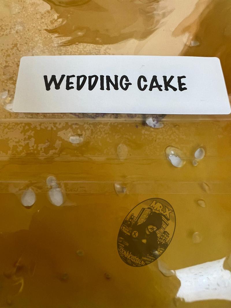 CALI IMPORT - SHATTER