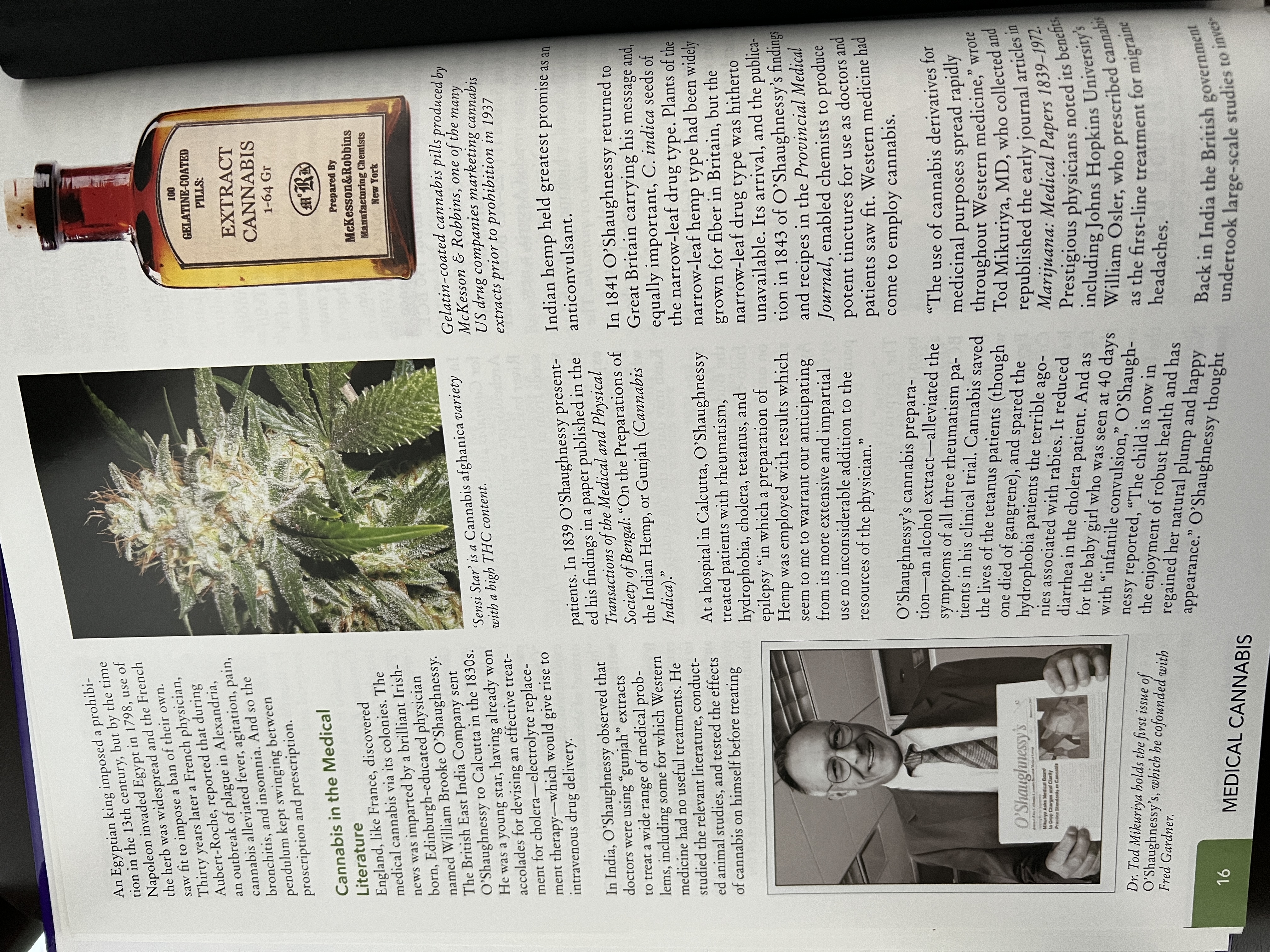 The Cannabis Encyclopaedia by J.C