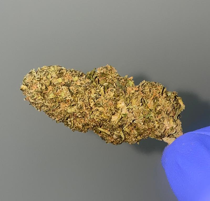 Tutti Fruitti Budget Sativa Dominant Bud - Old School