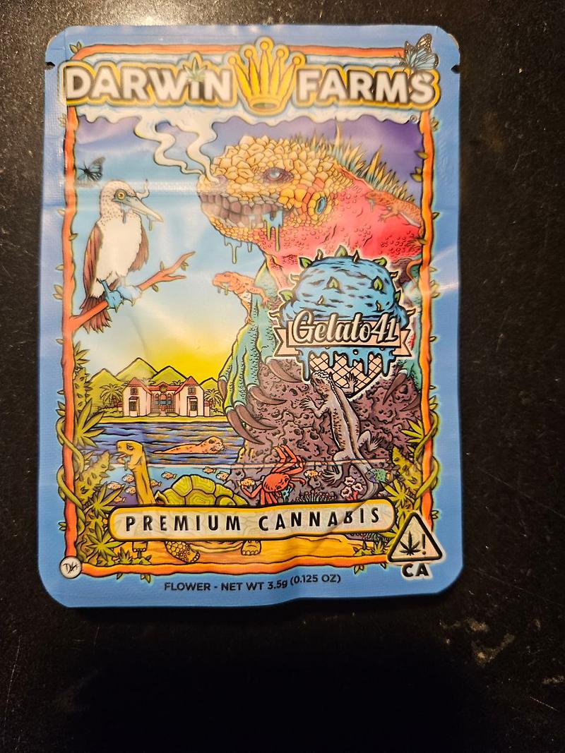 Darwin Farms - Gelato 41