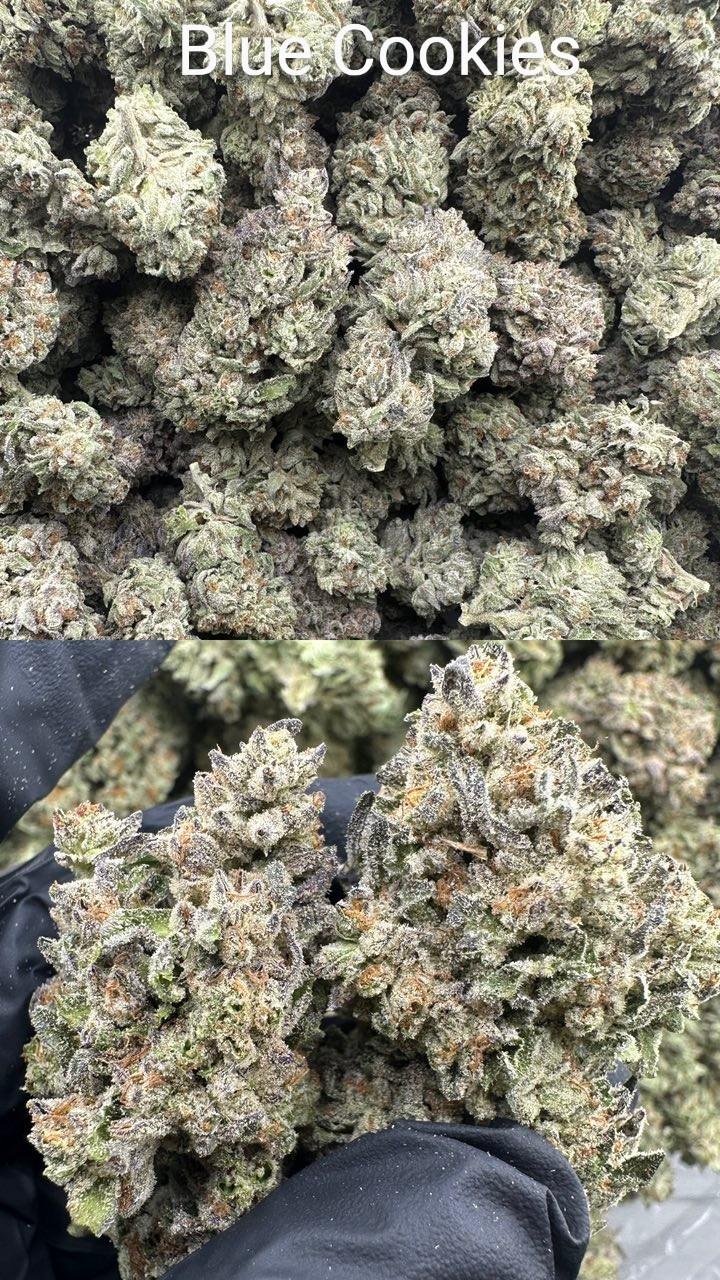 Cali Mids - Loose Import 🇺🇸