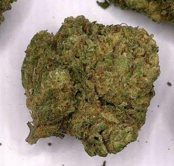 Trainwreck - EXOTICS