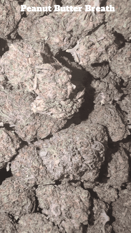 Cali Mids - Loose Import 🇺🇸