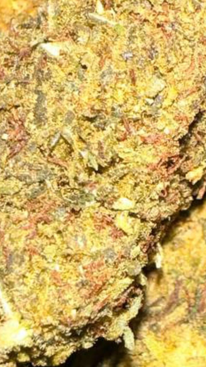 PIE RUNTZ (COST EFFECTIVE)