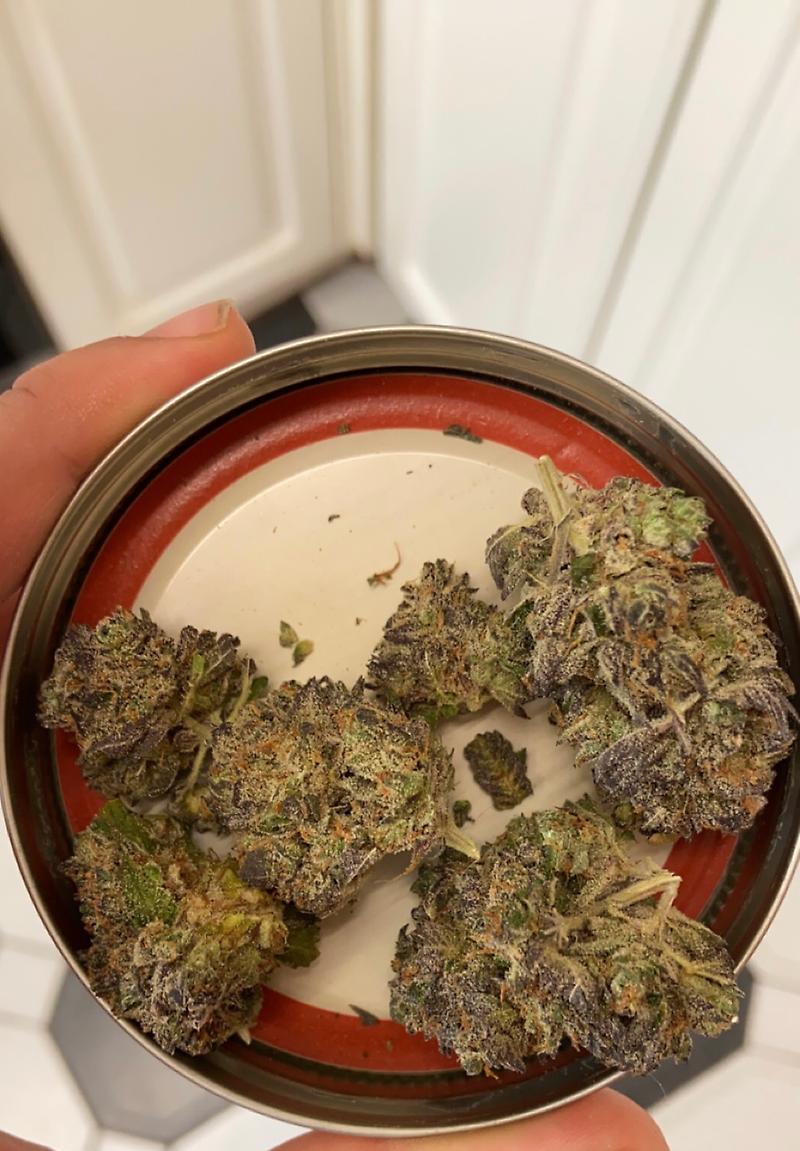 33 Zkittles Cake (Gelato 33 x Zkittles Cake)