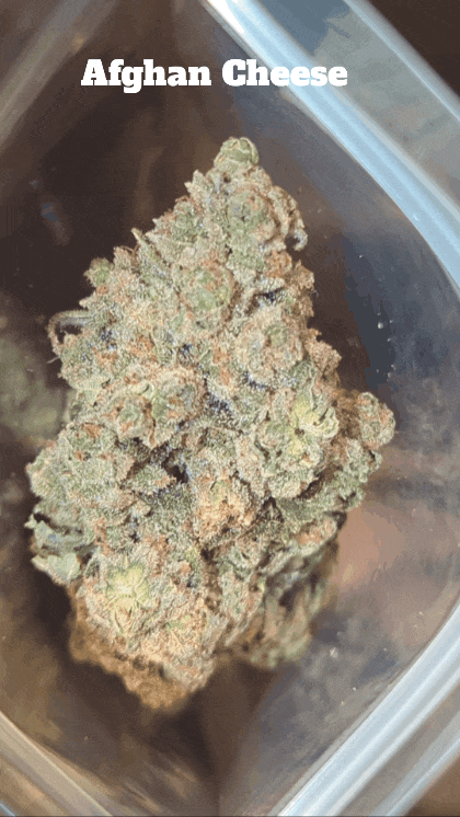 UK TOP SHELF SMALL BATCH🇬🇧 PGR FREE/ORGANIC