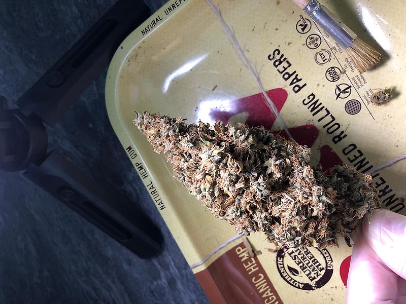 Wedding Cake (Cherry Pie x GSC x OG Kush)