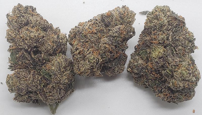 RAINBOW RUNTZ (INDICA DOM)