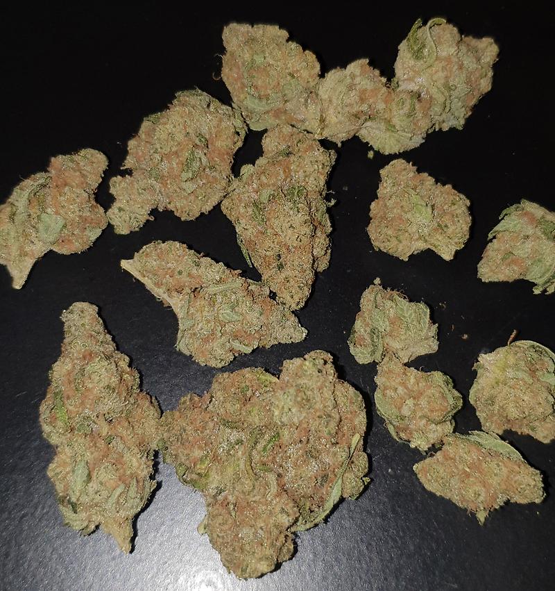 **SEQUOIA STRAWBERRY - (FREE RM 1ST CLASS DISPATCH)**