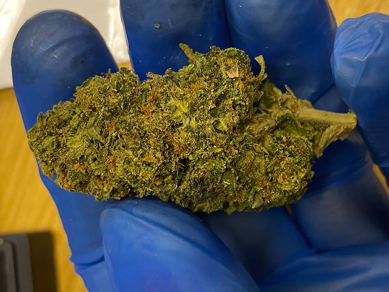 Hydroponically Grown Gelato - rich in flavour and moist