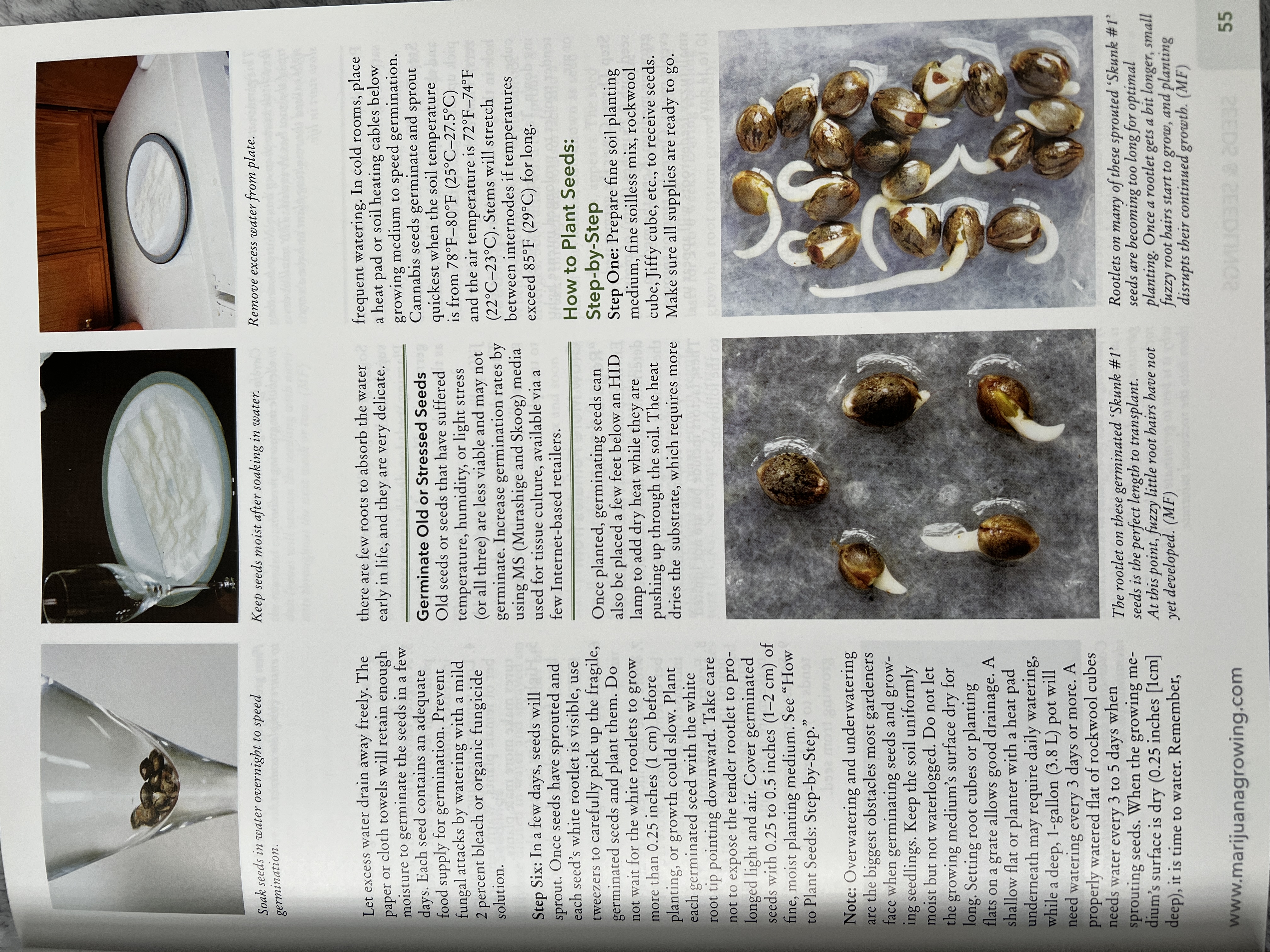 The Cannabis Encyclopaedia by J.C