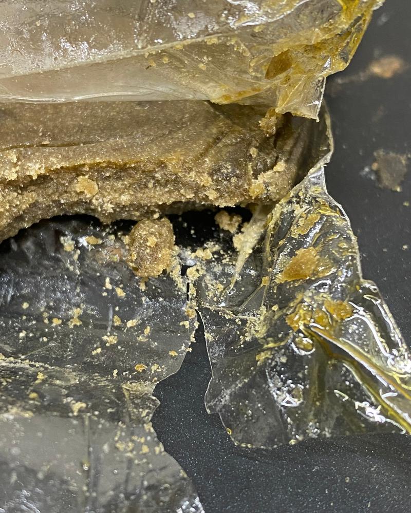 Banana Pie Whole Plant Fresh 🍌