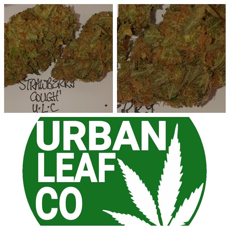 **STRAWBERRY COUGH - FREE RM 1ST CLASS DELIVERY**