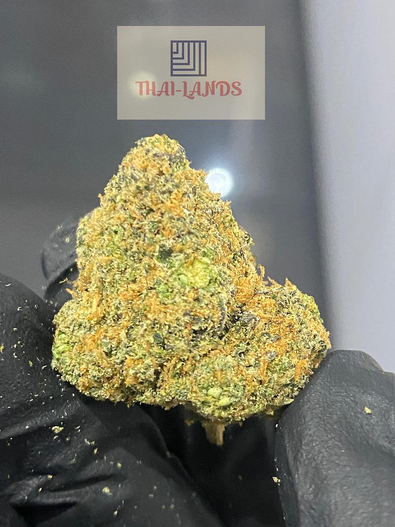 TEE TIME ZKITTLEZ X RS11