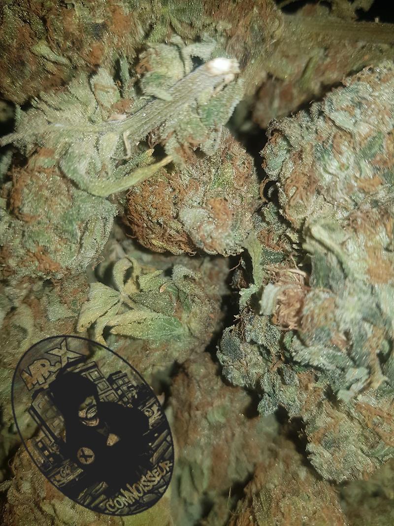 ***STRAWBERRY KUSH*** (FREE 1st CLASS RM)