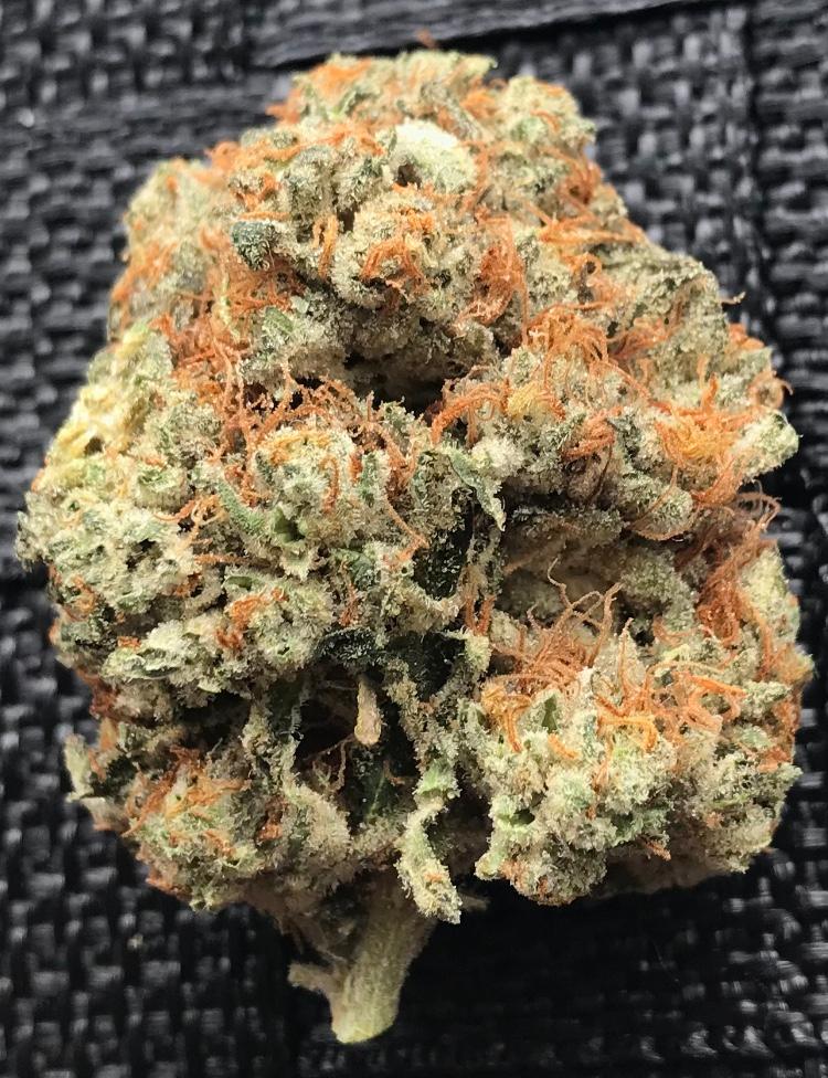 Star Dog - Chem Dog 4 x Tres Dawg