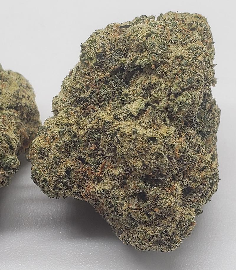 GARY PEYTON (HYBRID)