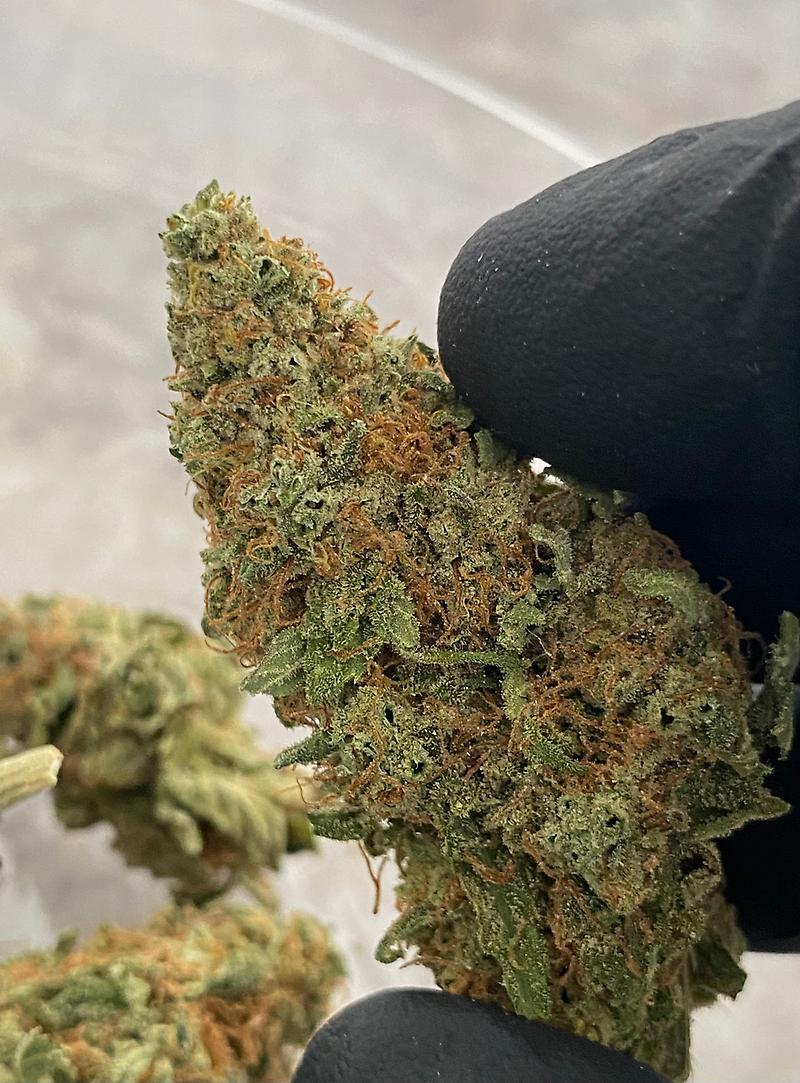 #WATERMELON 🍉 ZKITTLEZ 🍬#