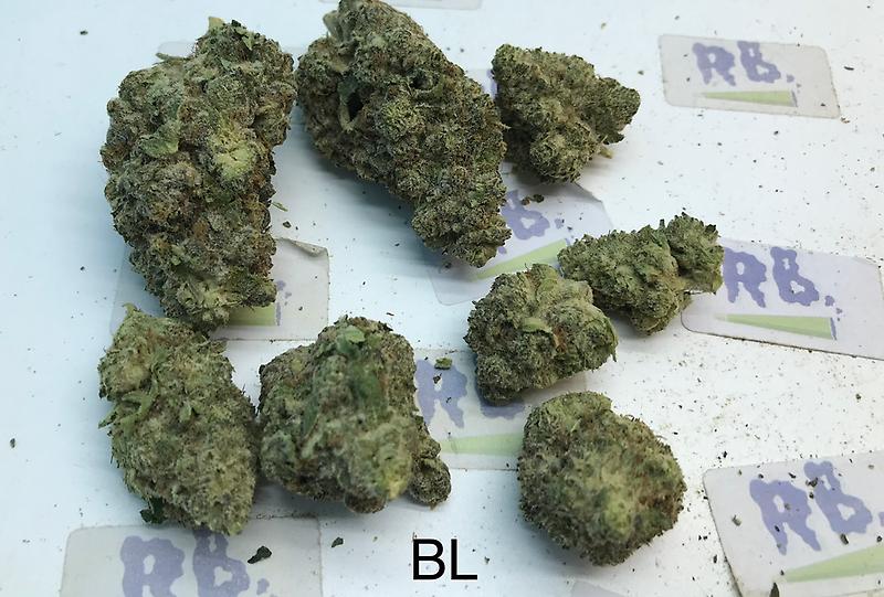 BLACKBERRY MID SHELF CALI