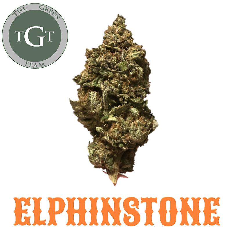 ELPHINSTONE *EXCLUSIVE*