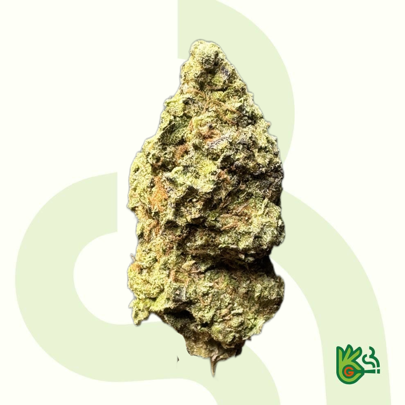 Mochi *Free Shipping*