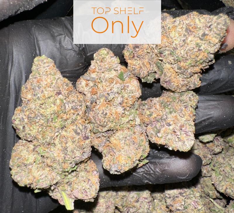 BISCOTTI UK TO UK SHIPPING