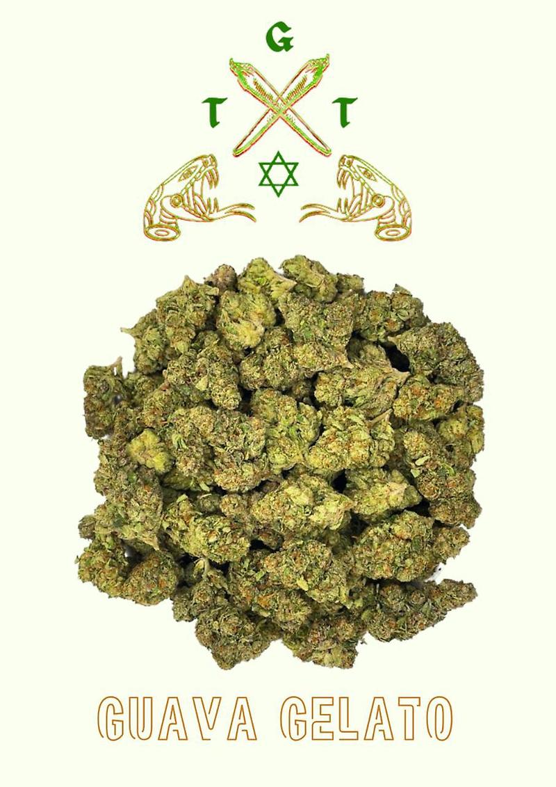 EXCLUSIVE GUAVA GELATO *FREE SHIPPING*