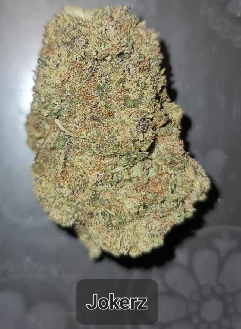 JOKERZ - INDICA - MIX & MATCH AVILABLE