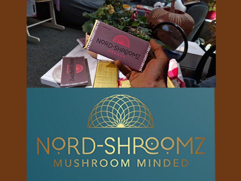 4g Cacao Mushroom Bars