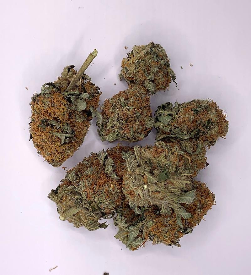 LB Special Promotion