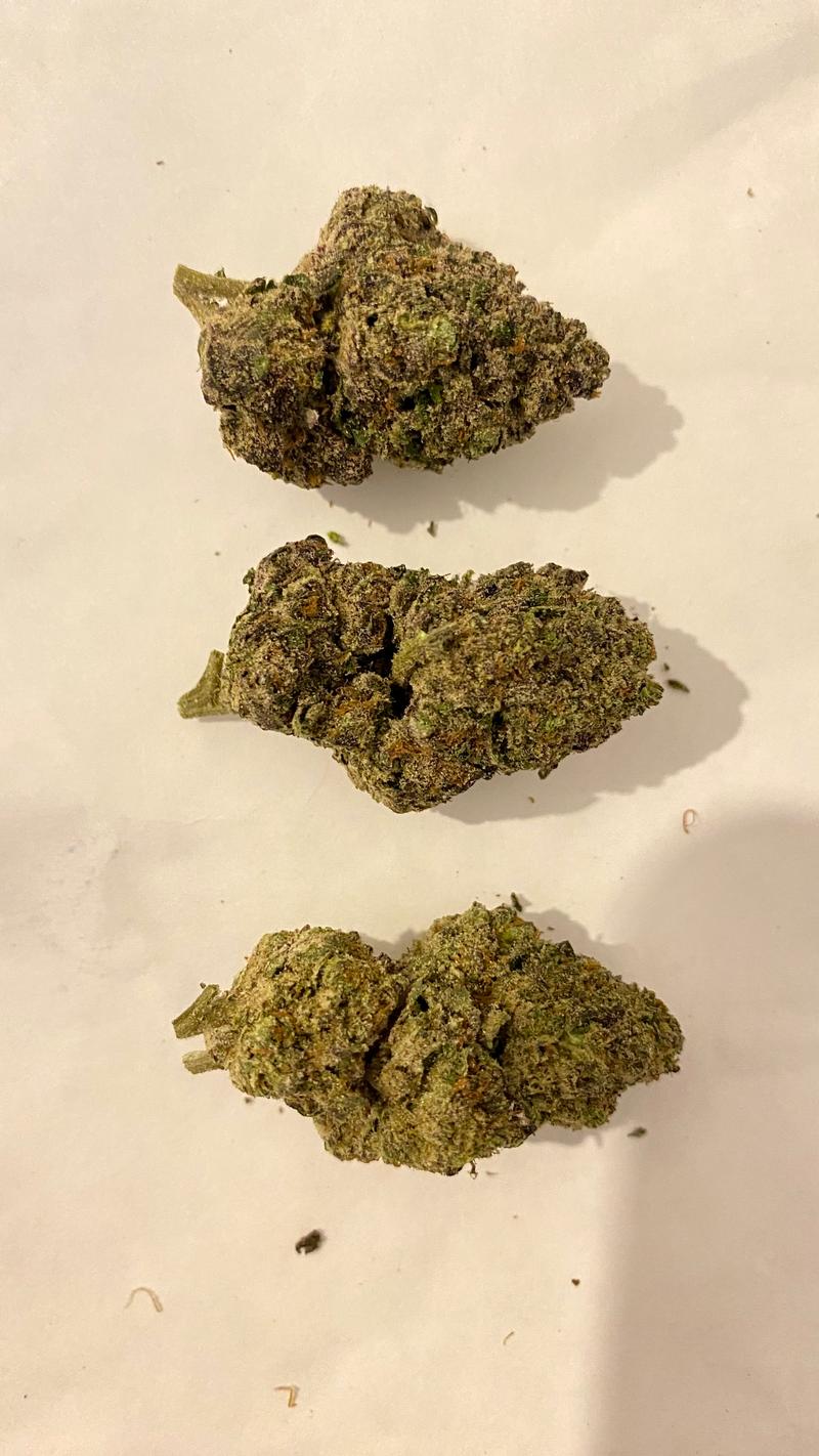 Dispensary Sealed Backdoor Cali Packs