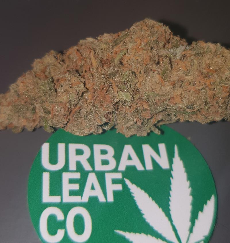 **GIRL SCOUT COOKIES - (FREE RM 1ST CLASS DELIVERY)**