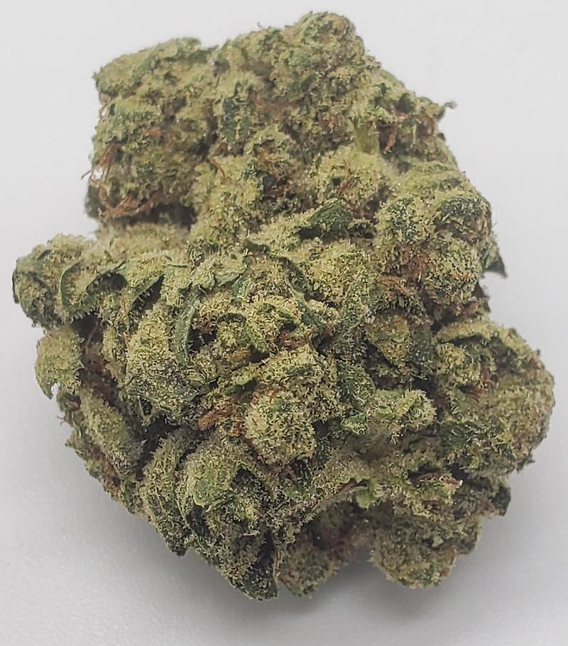 DARTH VADER OG (INDICA DOM)