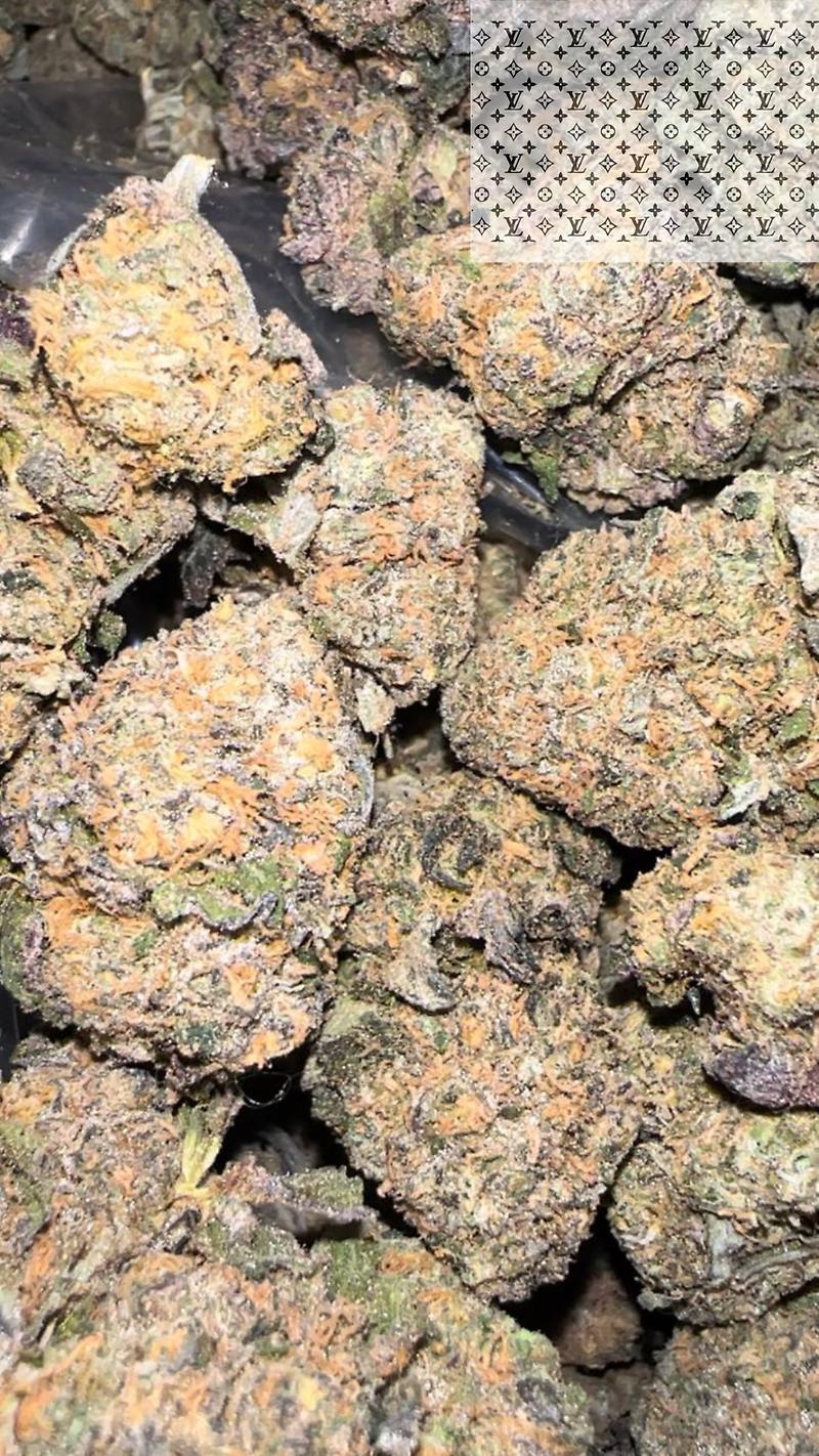 PERMANENT MARKER DOJA GENETICS