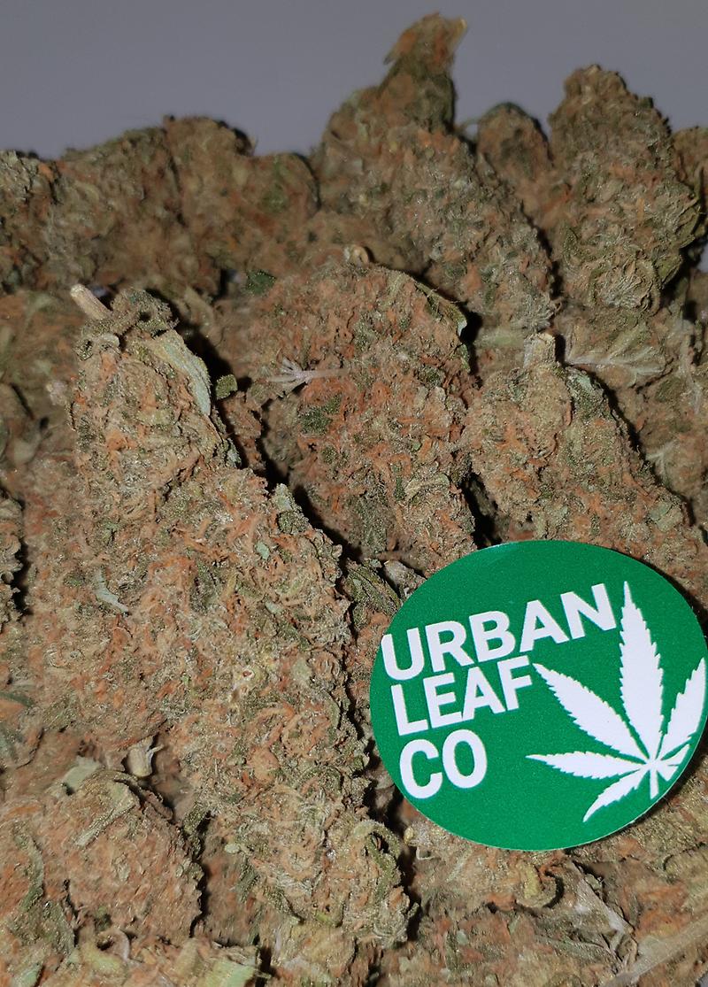 **GIRL SCOUT COOKIES - (FREE RM 1ST CLASS DELIVERY)**