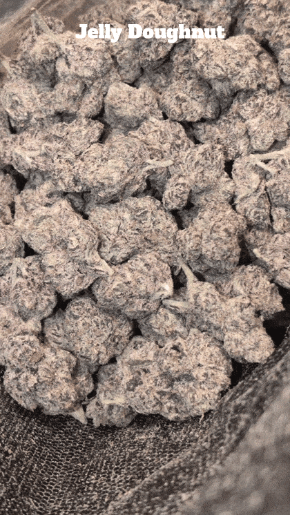 Top Shelf Exotics - Imported Loose Flower