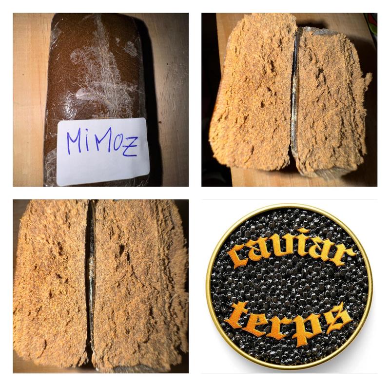 Caviar Terps 3x dry hash