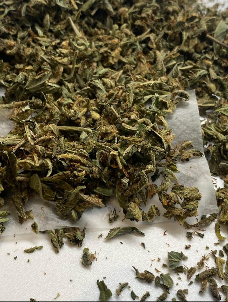 Gassy Dawgs Bollock’s Shake - Ultra Dank